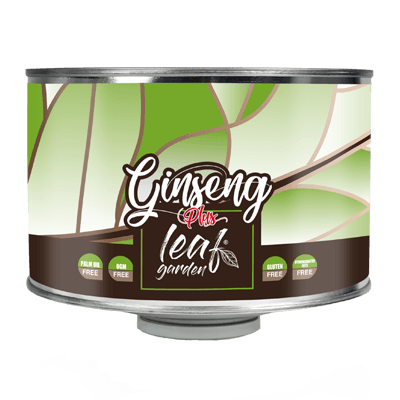 Ginseng Leaf 0039